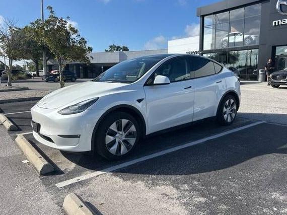 TESLA MODEL Y 2021 5YJYGDED2MF109567 image